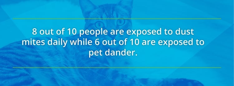 pet dander asthma